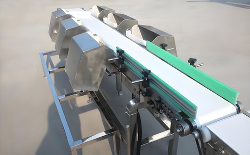 Multi level automatic weighing and sorting machine Multi level automatic weighing and sorting machine